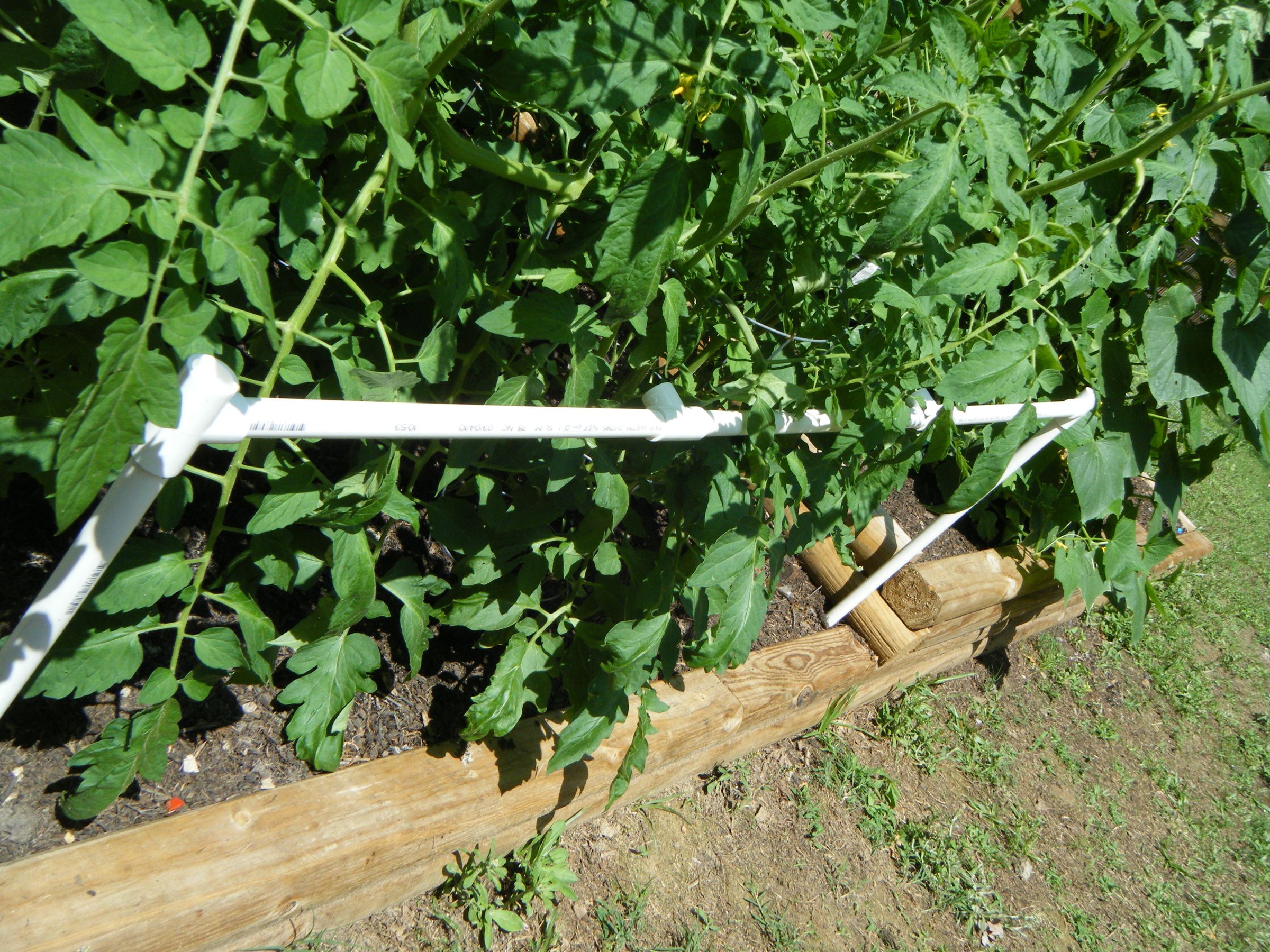 Tomato Cage With PVC 10 Steps Instructables