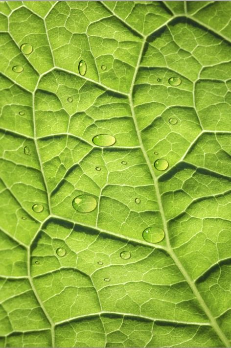 photoshop water droplets 9 steps