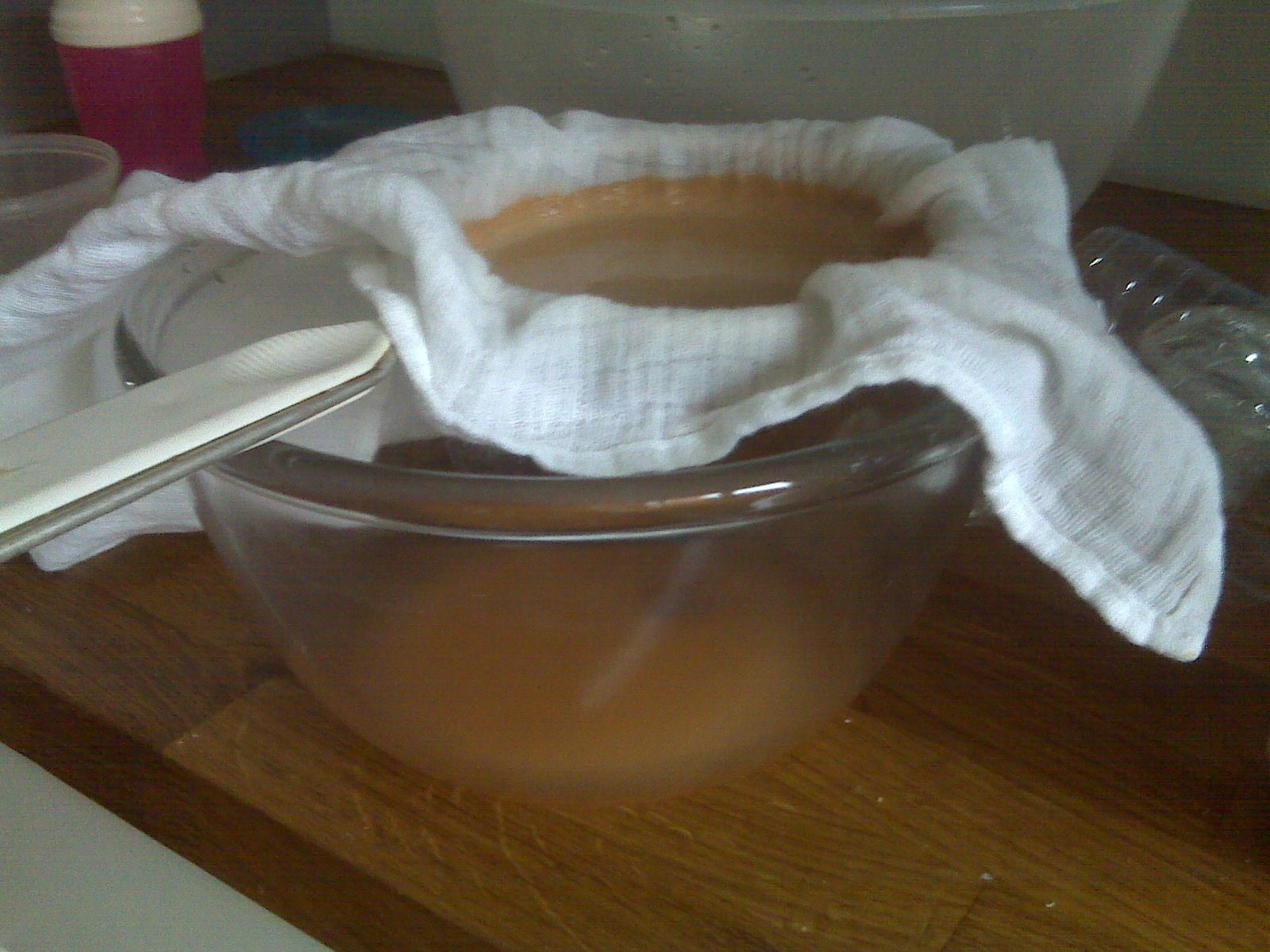 Simple Homemade Cider With a Juicer and No Press 4 Steps Instructables