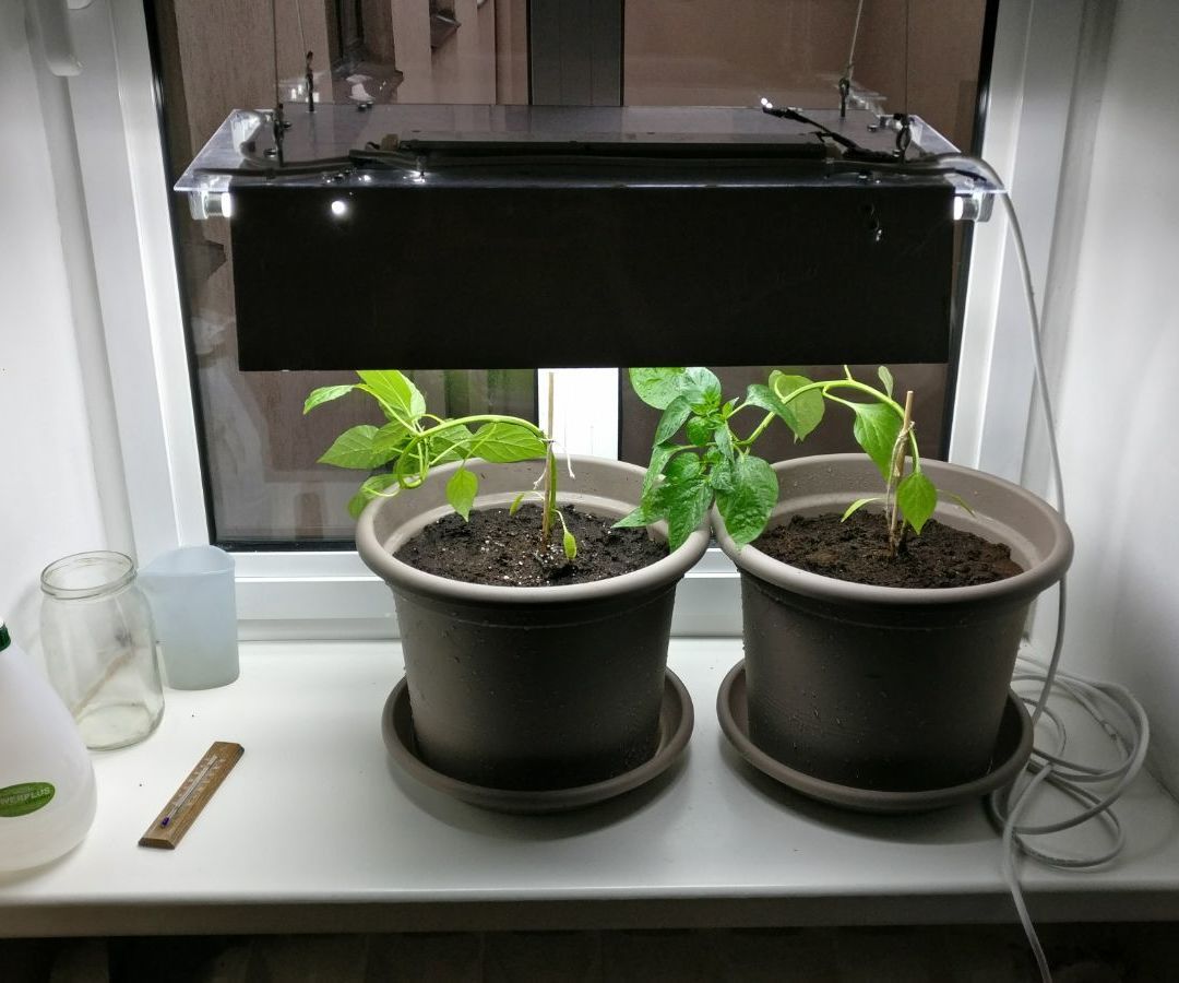 DIY guide for DIY Autonomous Fluorescent Grow-Light with step-by-step instructions