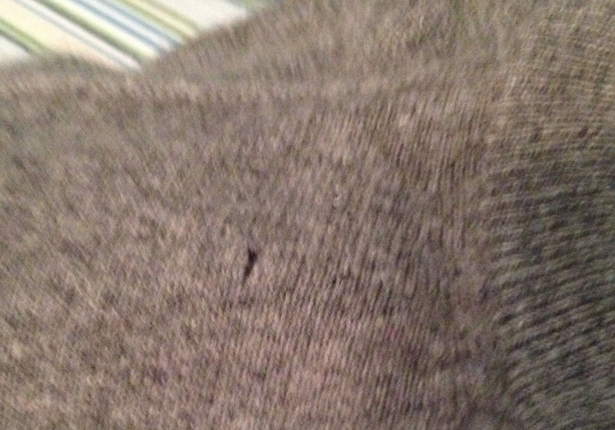 Mend and Make Do Repairing Small Moth Holes in a Cashmere Sweater 3