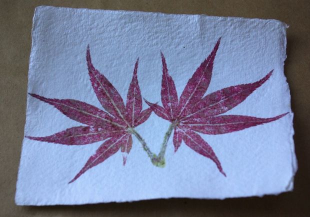 Hammered Leaf And Flower Prints 12 Steps With Pictures Instructables