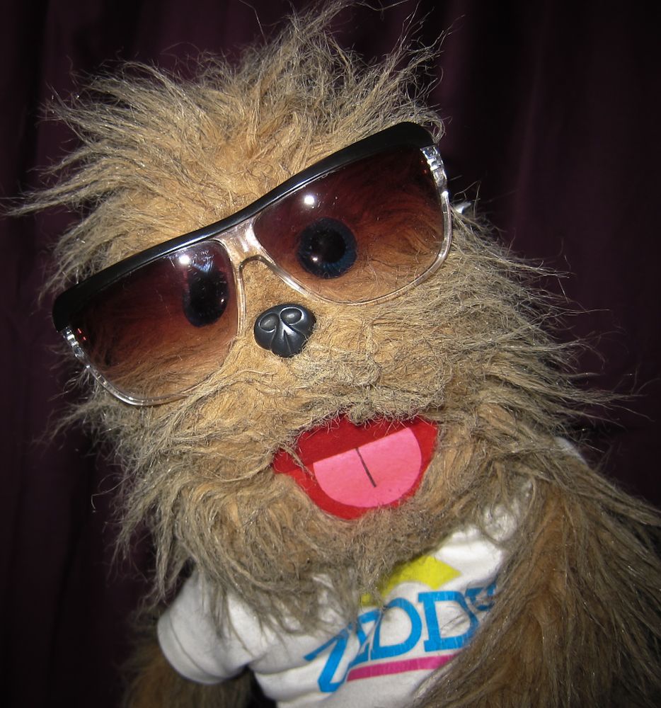 Fuzzy-Wobble