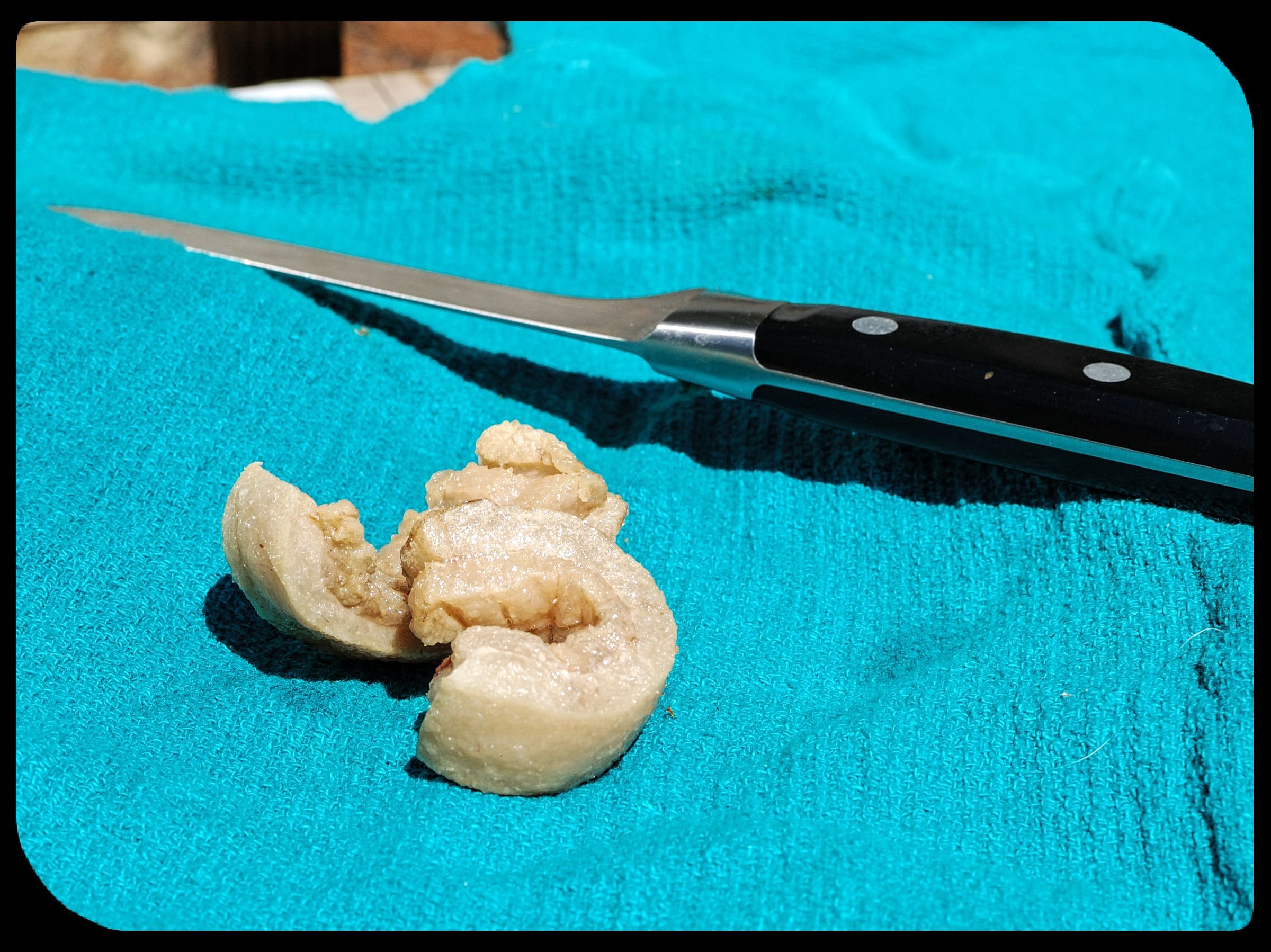 Deep Fried Fatback (with Pictures) Instructables