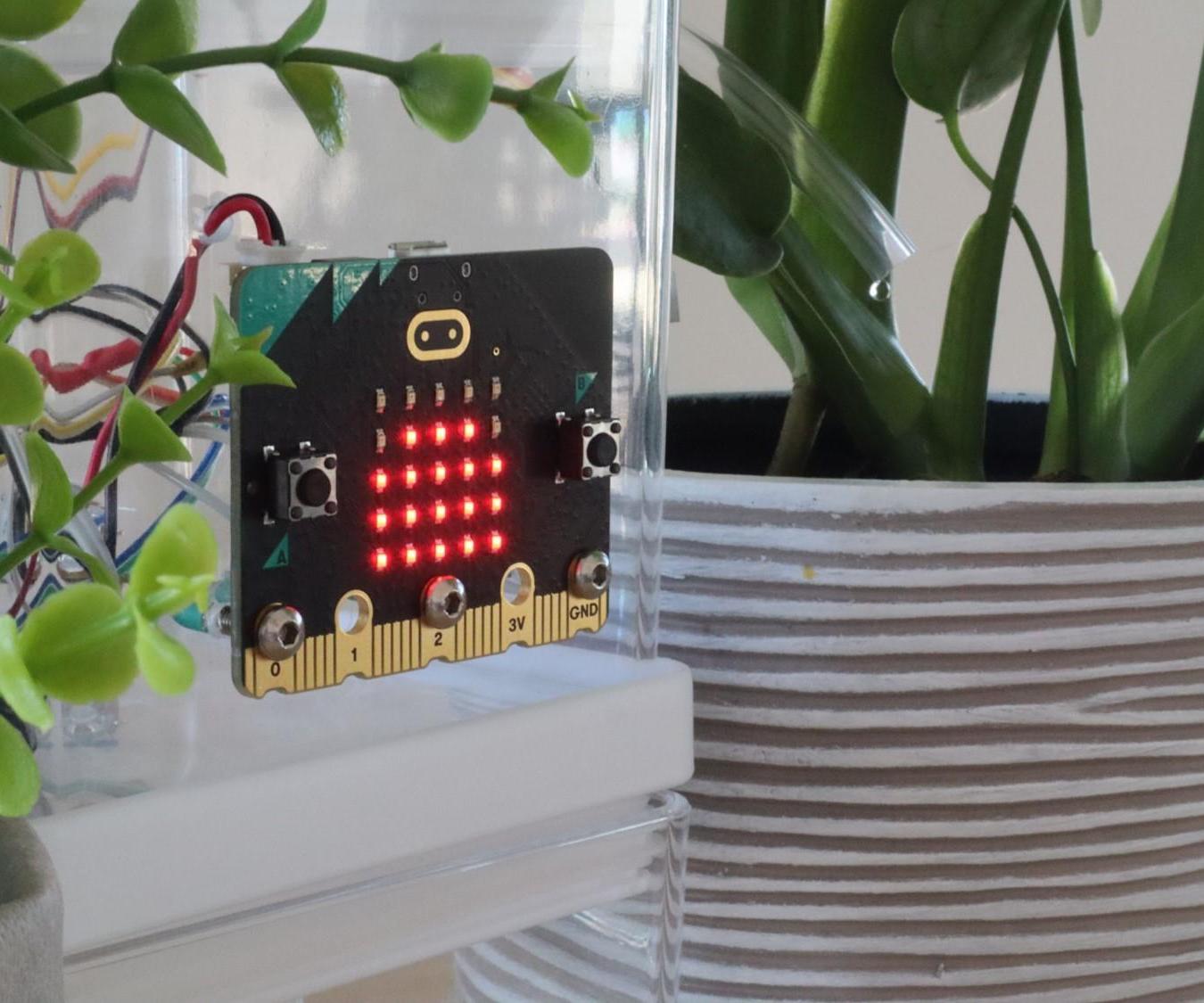 Automatic Plant Watering System Using a Microbit 8 Steps (with