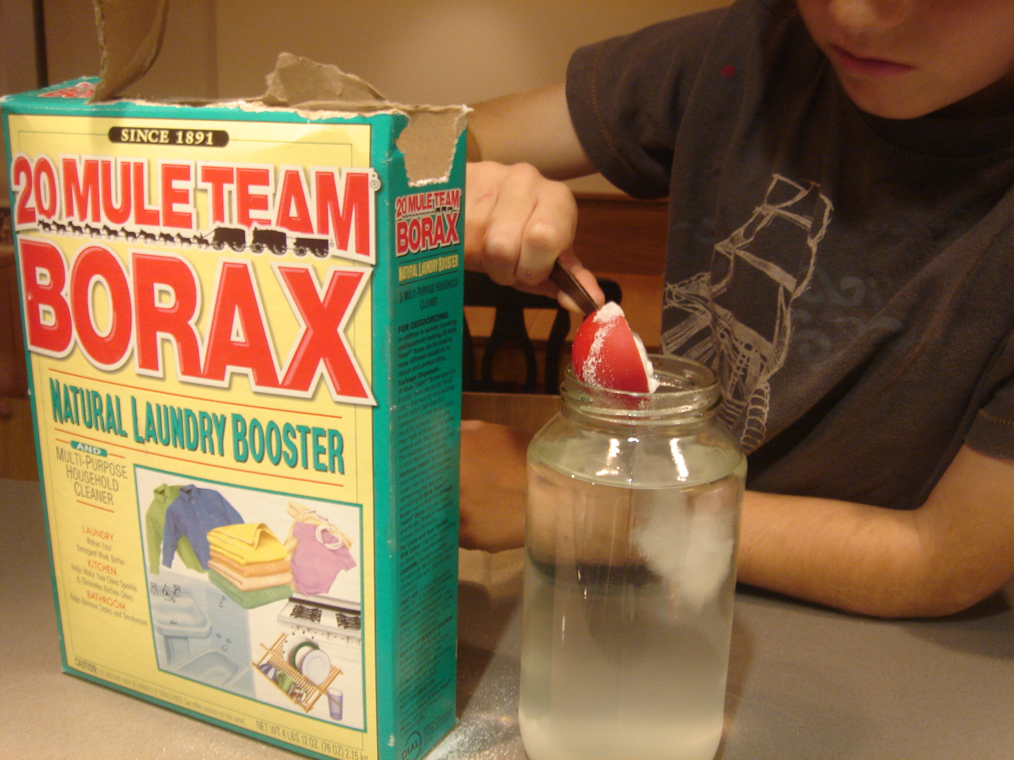 How to Make Borax Crystal Decorations to Impress and Amaze the Kids 15 Steps (with Pictures