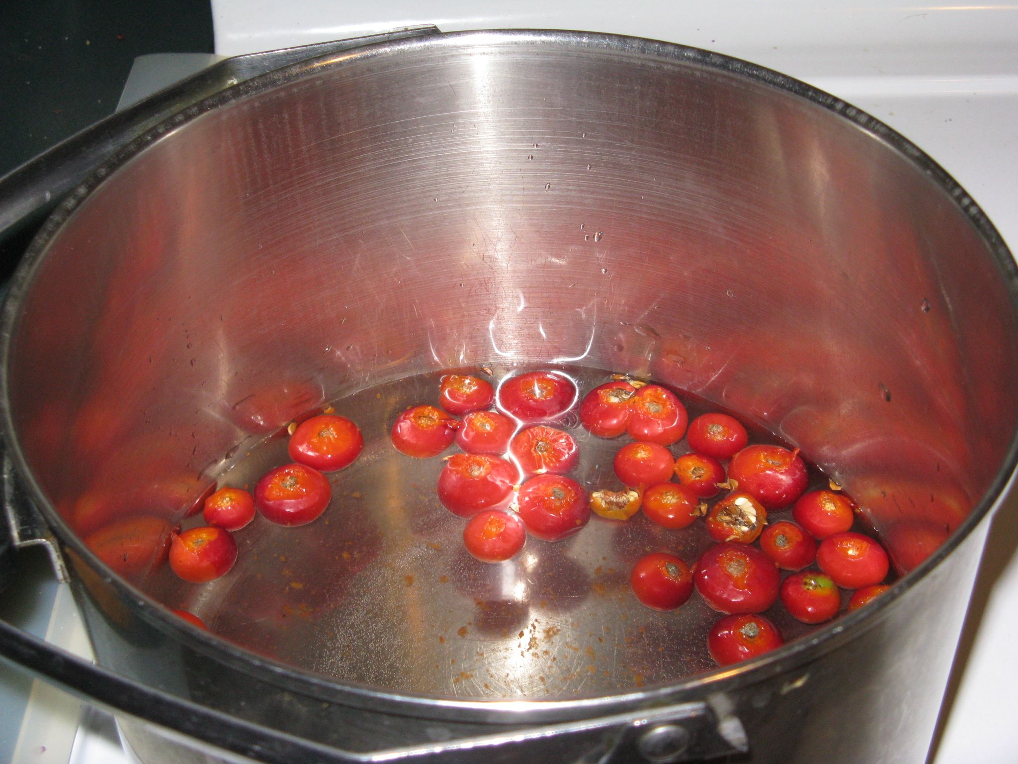 Sugar Free Rose Hip Jelly 10 Steps (with Pictures) Instructables
