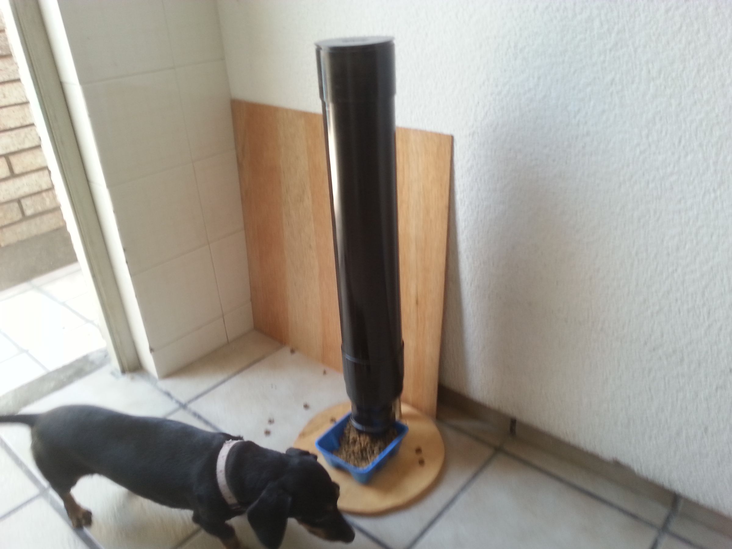 pvc pipe dog waterer