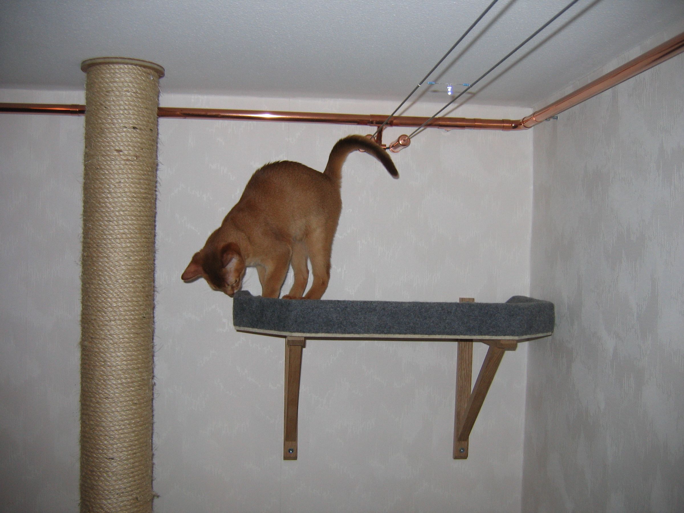 diy cat climbing pole