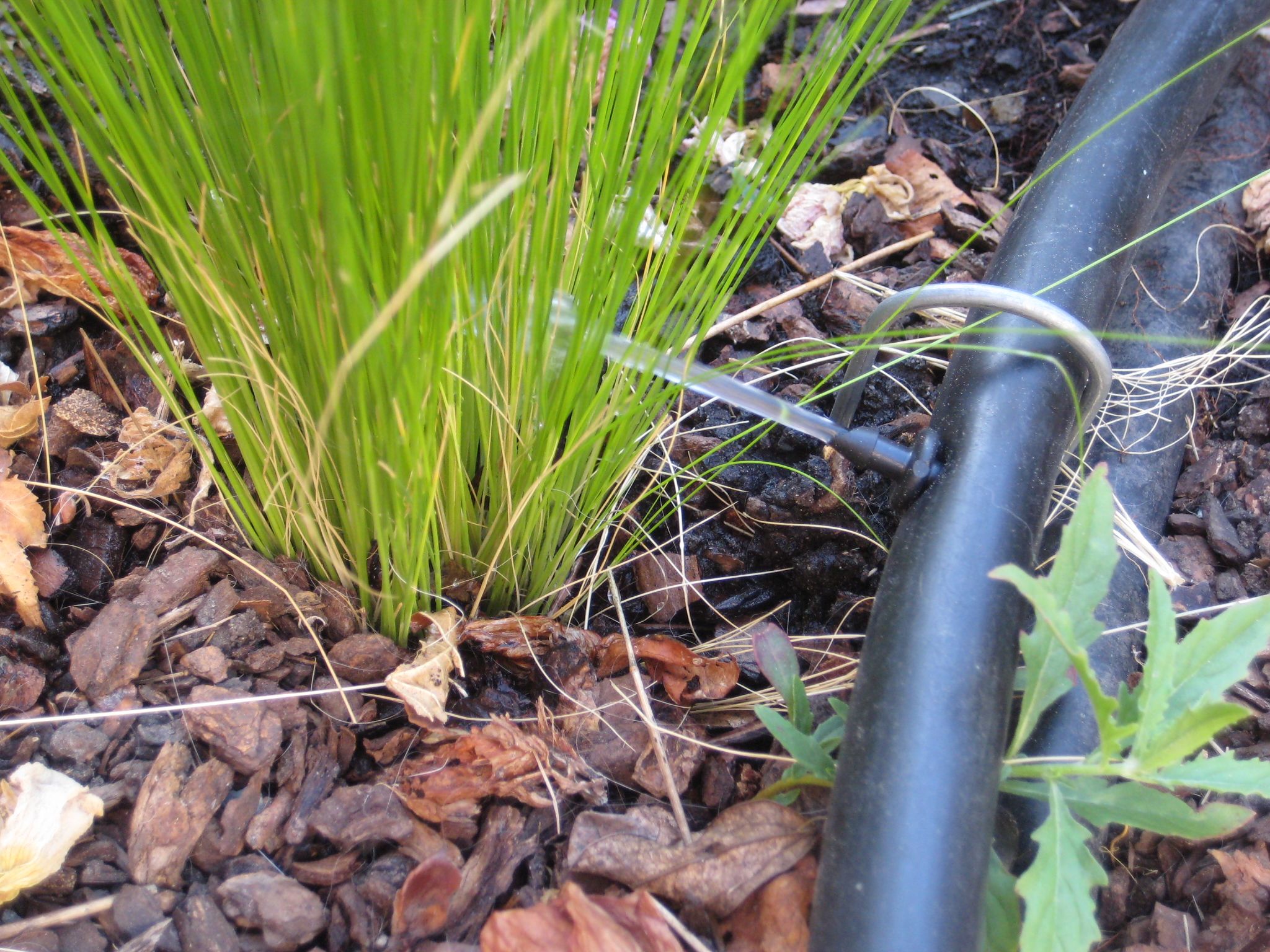 Water Your Garden With Gray Laundry Water 6 Steps Instructables