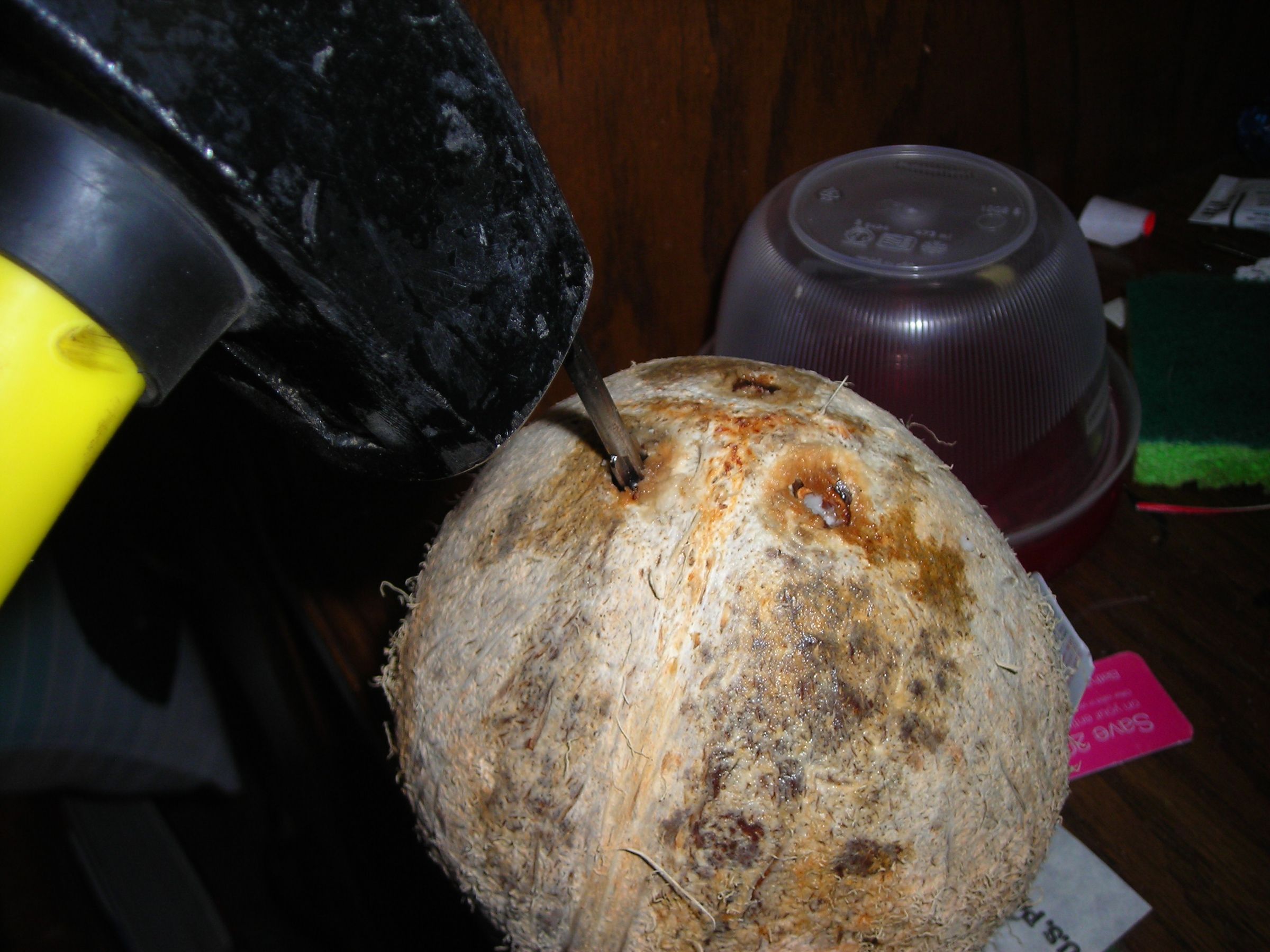 How To Coconut Bowl 5 Steps (with Pictures) Instructables