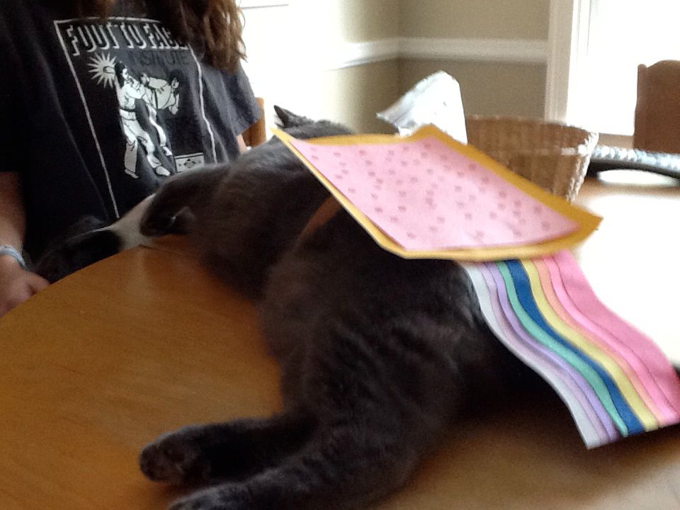 DIY guide for Nyan Cat Costume with step-by-step instructions