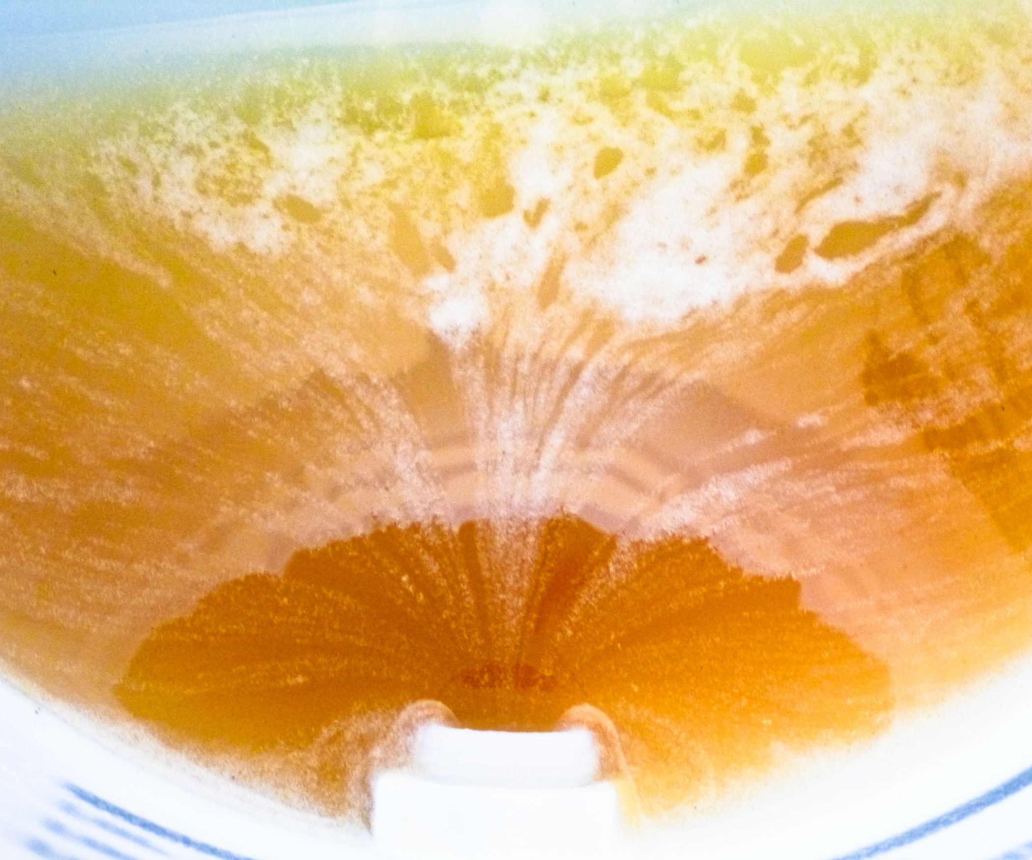 Extracting Honey From a Hive 5 Steps (with Pictures