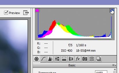 A Complete Beginner's Guide to Raw Files and Raw Processing : 11 Steps ...