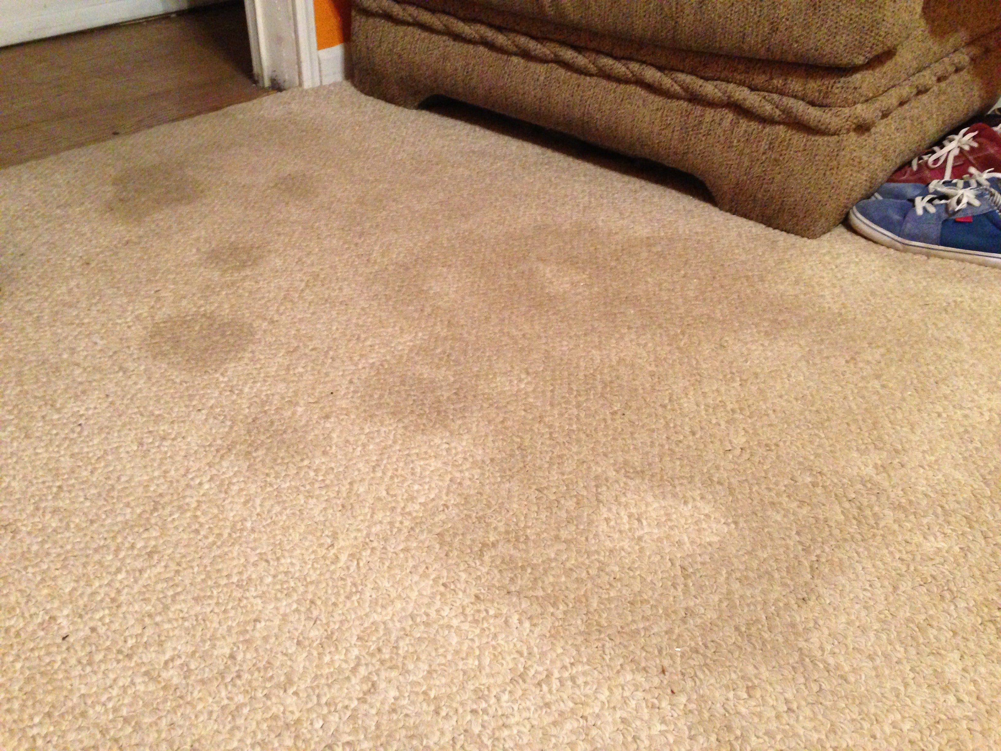 Year Old Carpet Stains GONE : 9 Steps (with Pictures) - Instructables