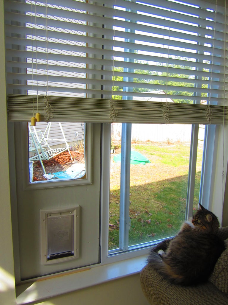 temporary cat door 4 steps with pictures instructables temporary cat door 4 steps with pictures instructables