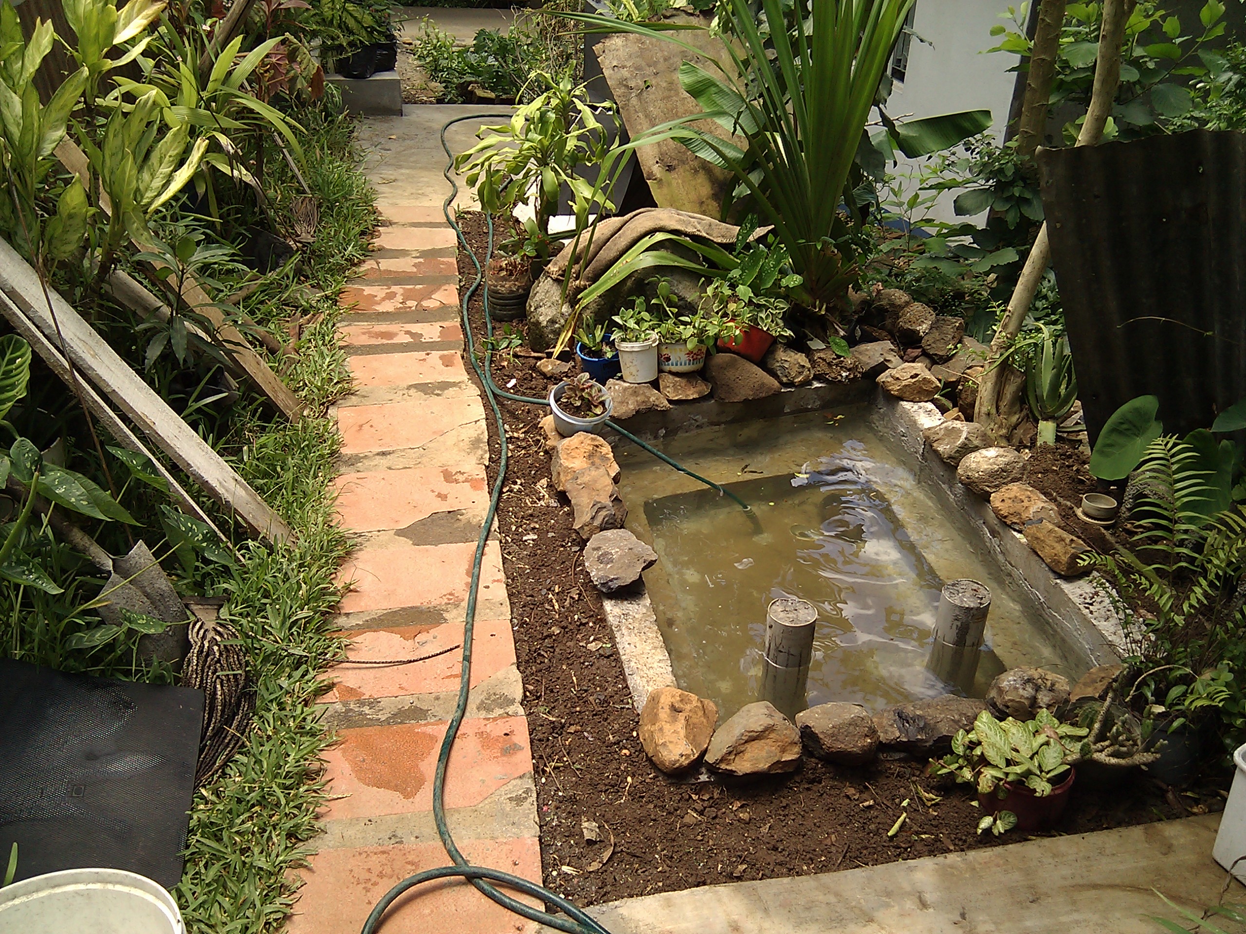 Concrete Pond 9 Steps (with Pictures) Instructables