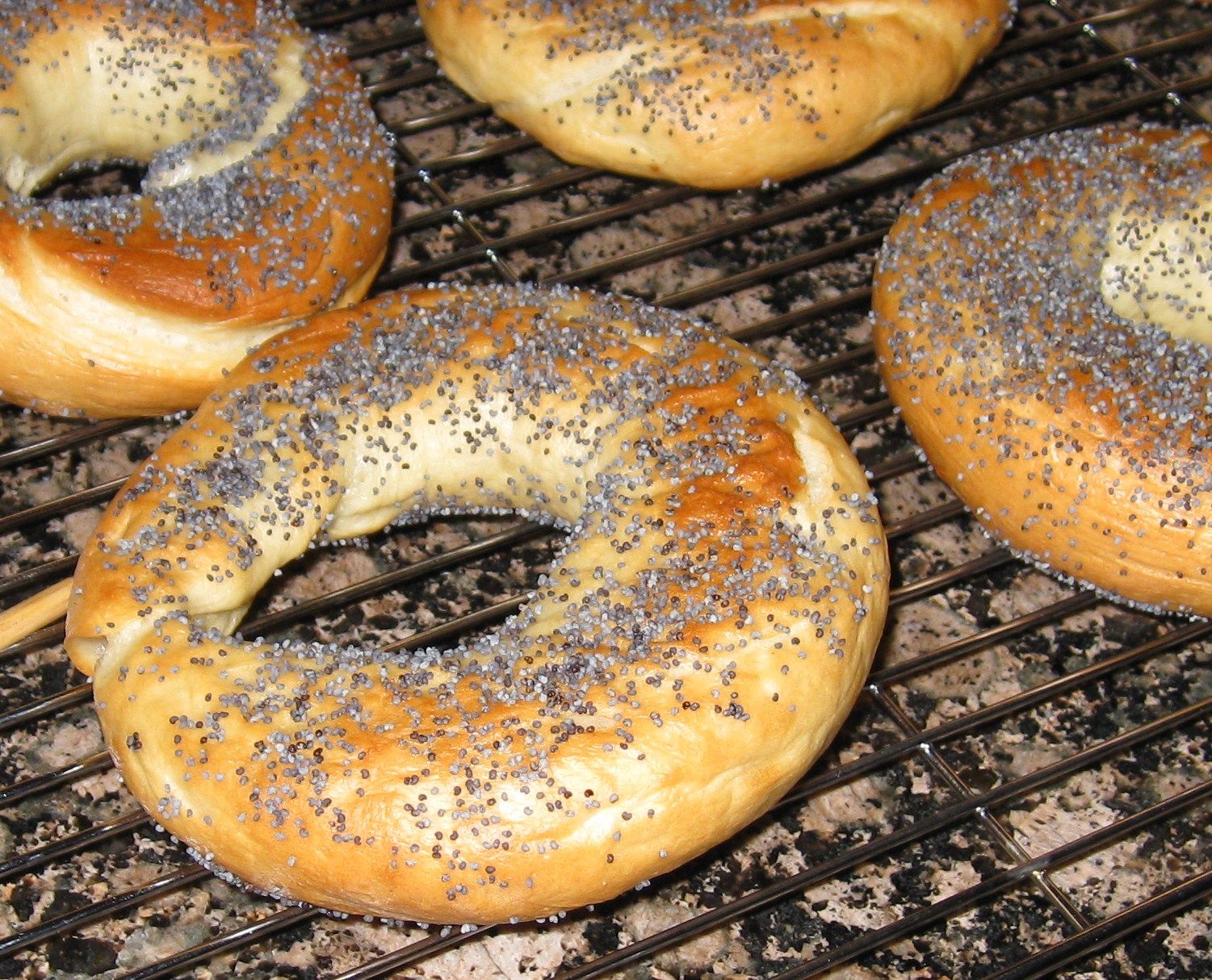 Bagels From Scratch 7 Steps (with Pictures) Instructables
