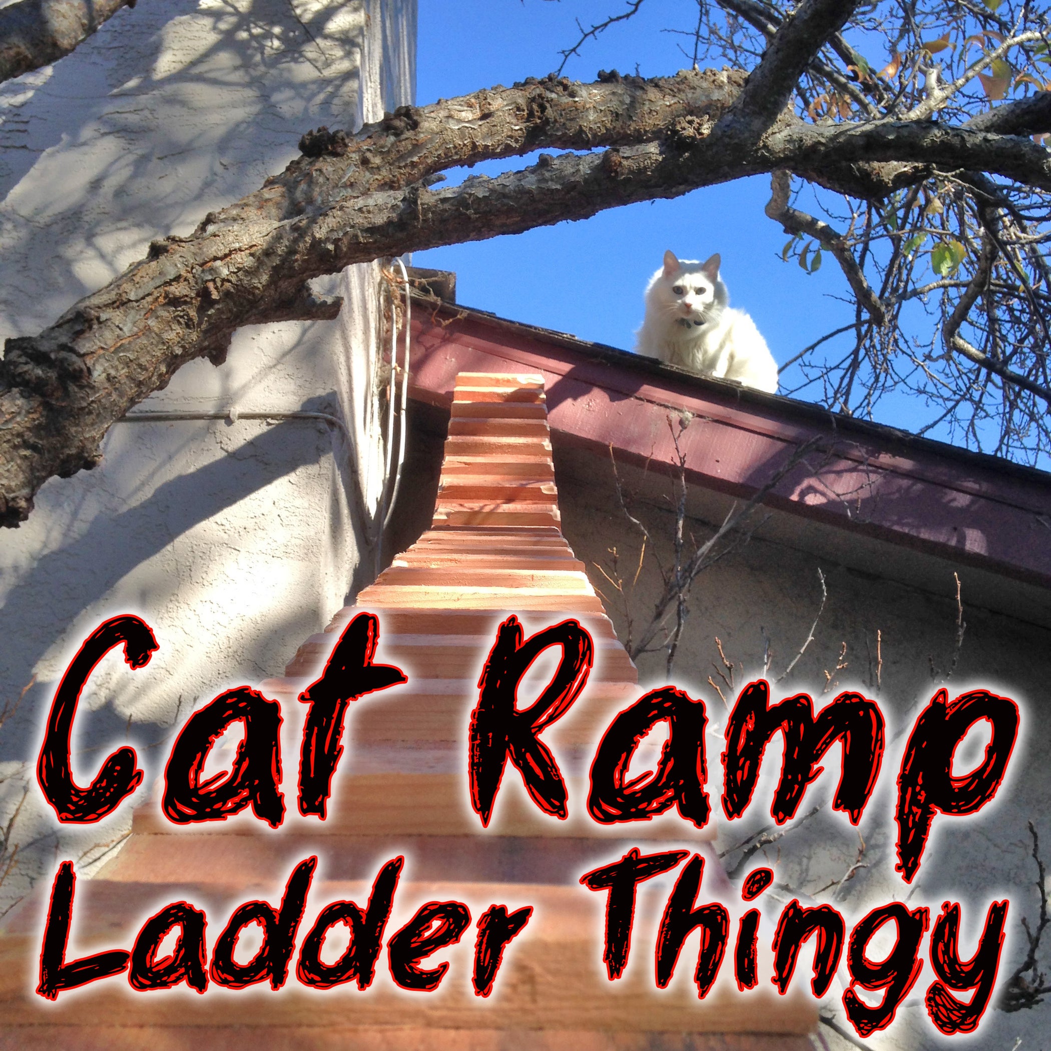 Cat Ramp Ladder Thingy 5 Steps (with Pictures) Instructables