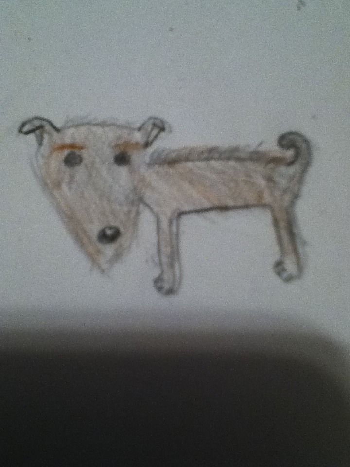 DIY guide for Kokonut with step-by-step instructions