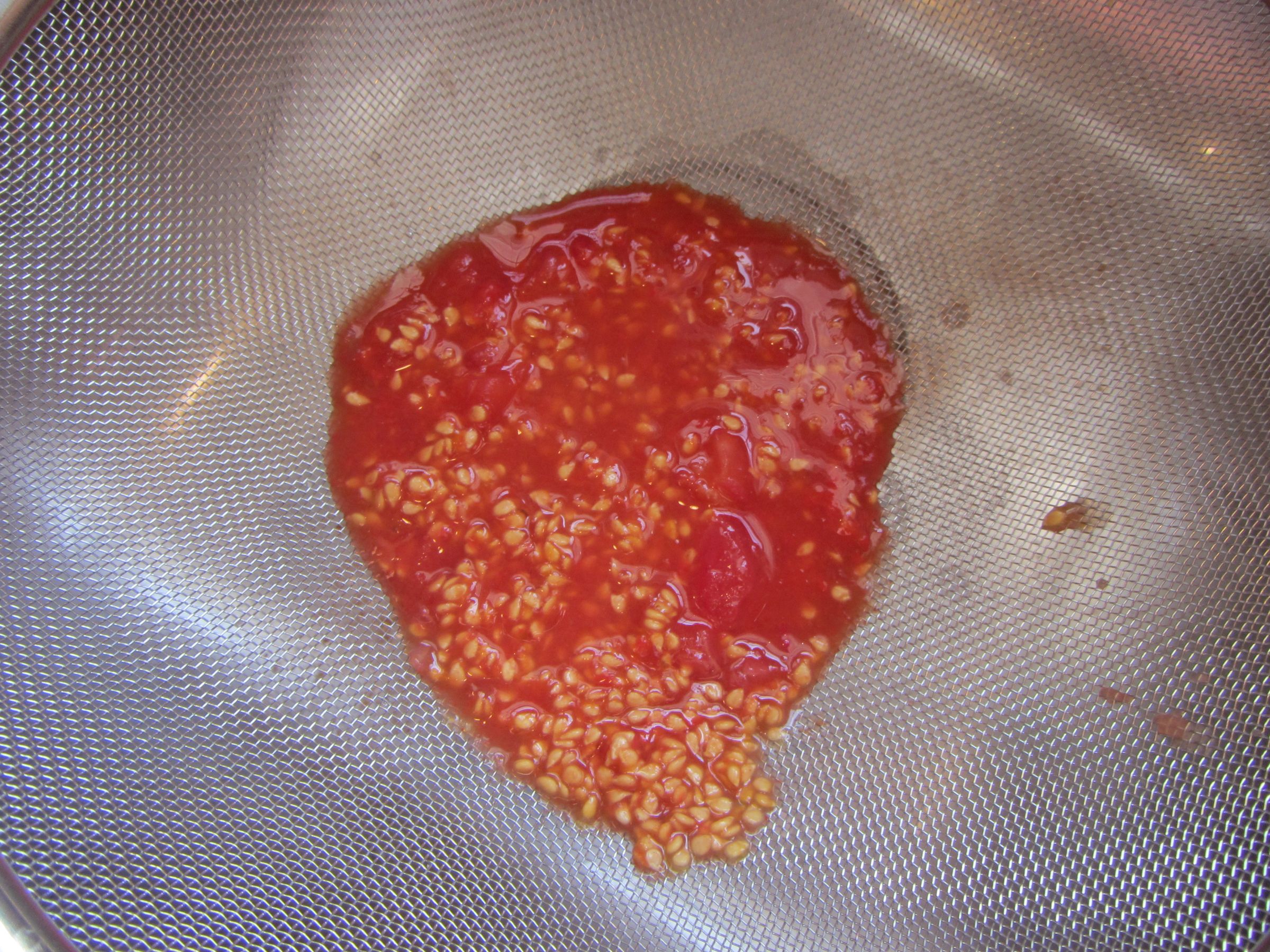 How to Ferment and Collect Tomato Seeds 6 Steps Instructables