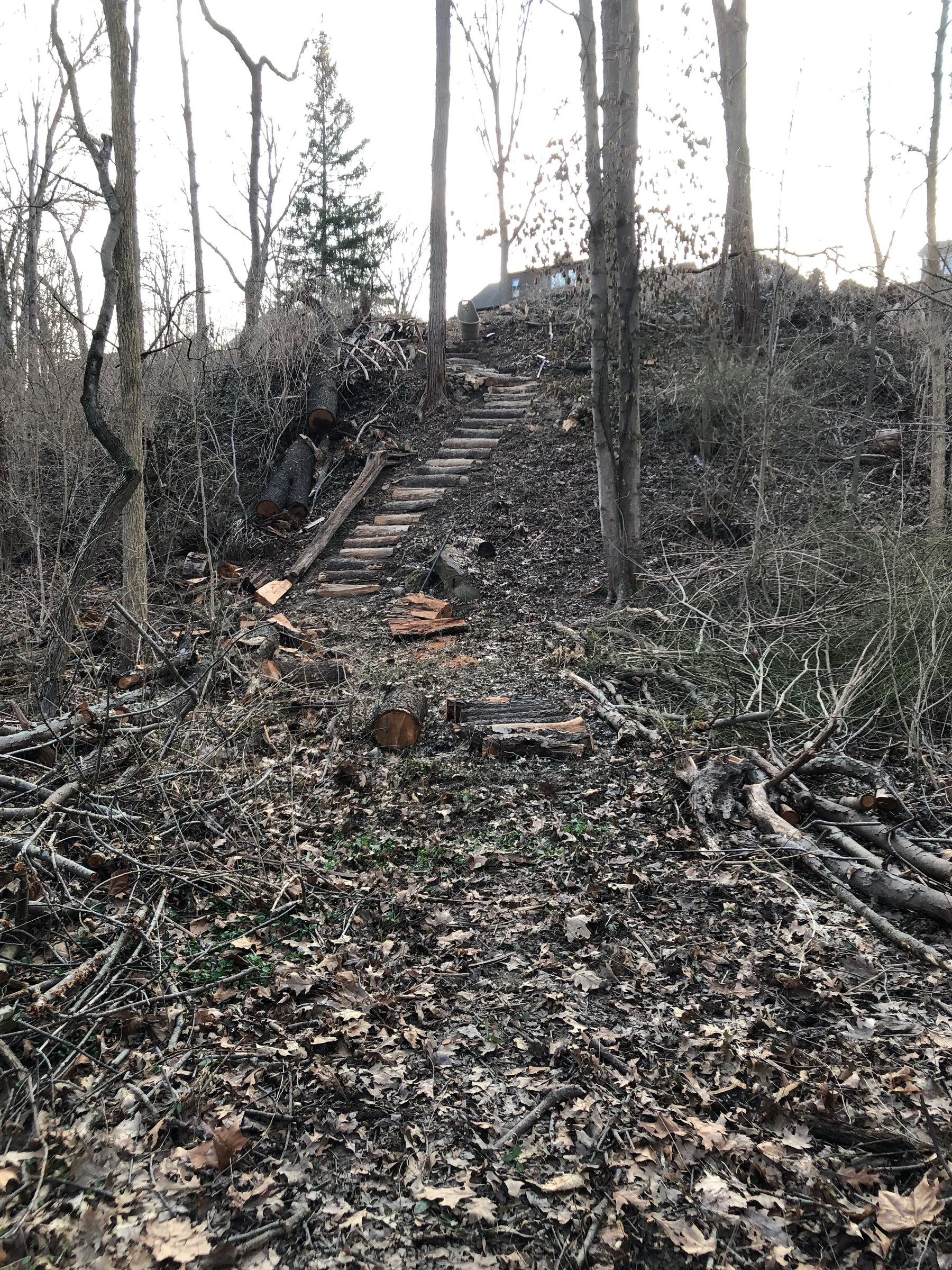 Log Path Cut Into a Hill 5 Steps (with Pictures) Instructables