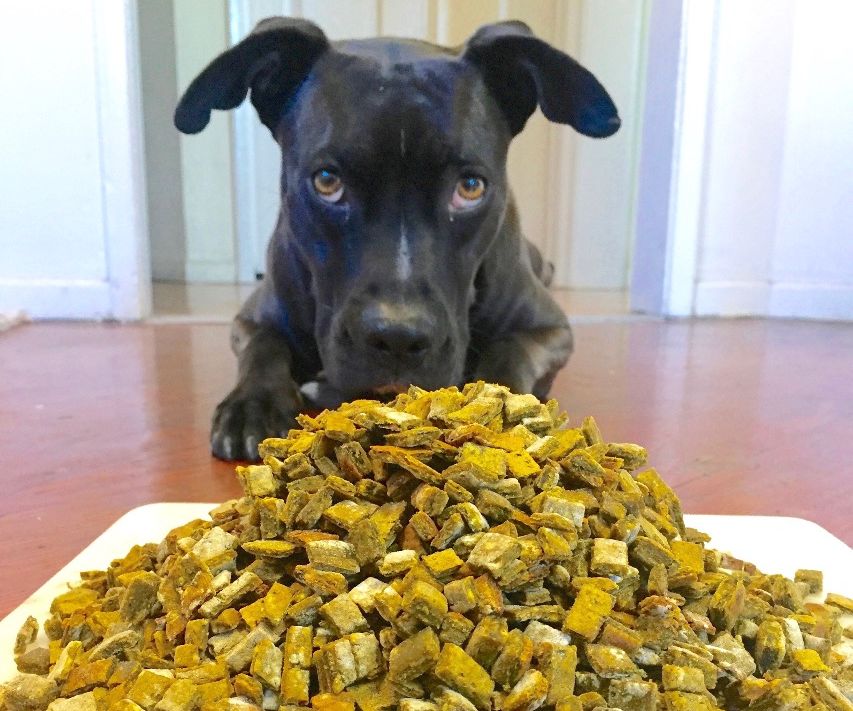 High Value Liver Dog Treats