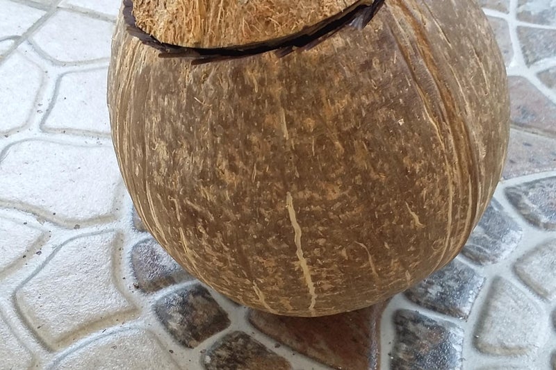 Prepare the Coconut Shell