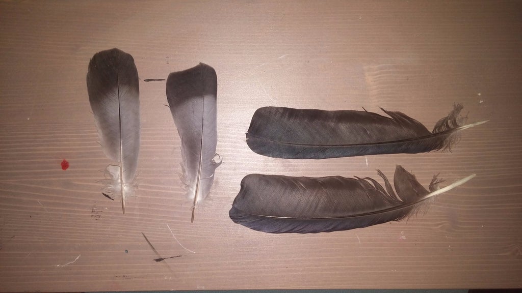 How To Paint A Feather 7 Steps With Pictures Instructables How To Paint A Feather 7 Steps With Pictures Instructables