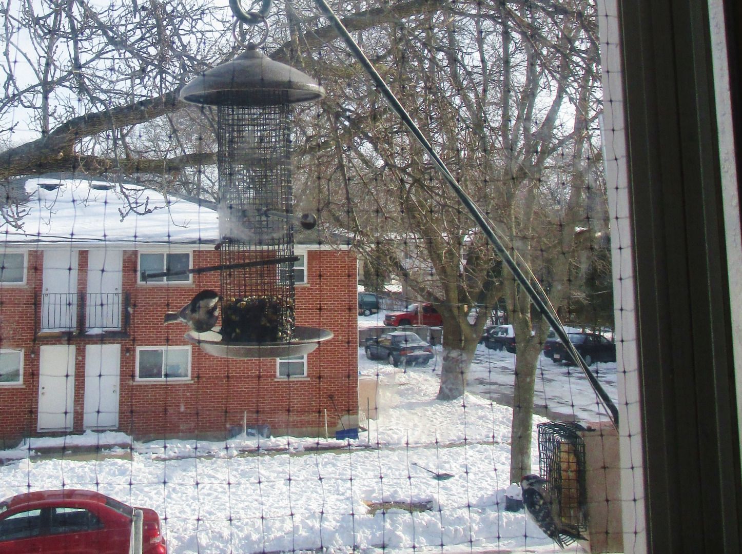 BirdStrike Prevention 7 Steps (with Pictures) Instructables