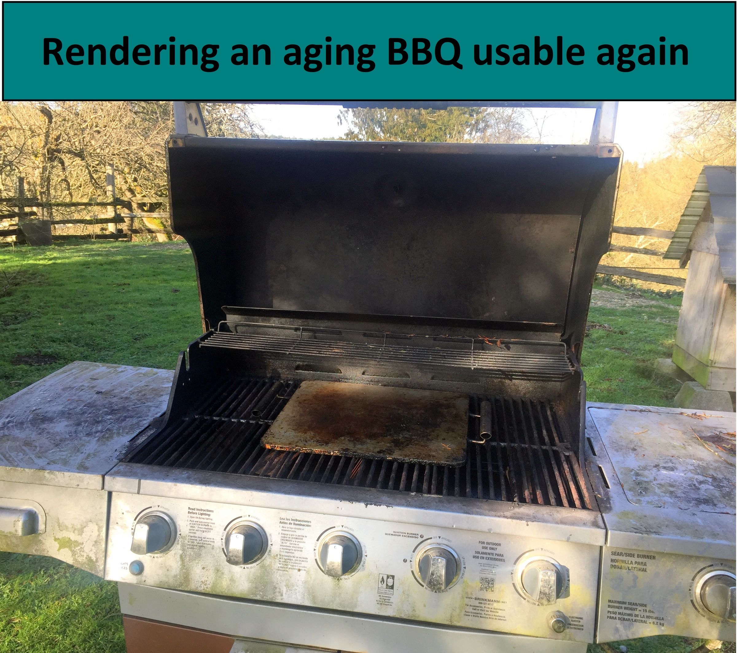 How To Fix Grill Behalfessay9