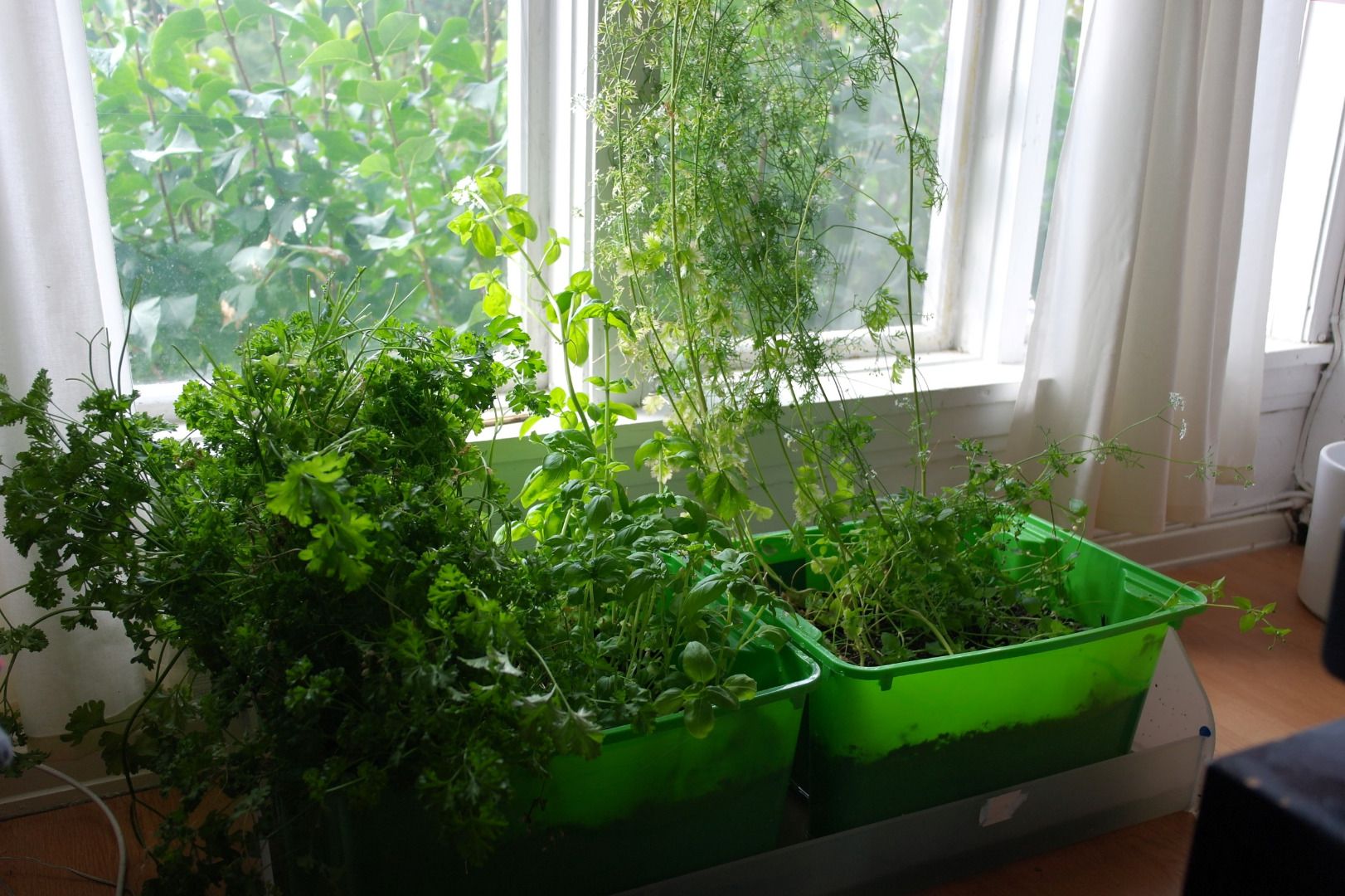 Indoor Herb Garden With Automatic Watering 8 Steps (with Pictures