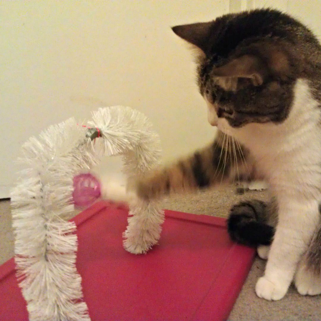 Cat Toy Massager 5 Steps Instructables