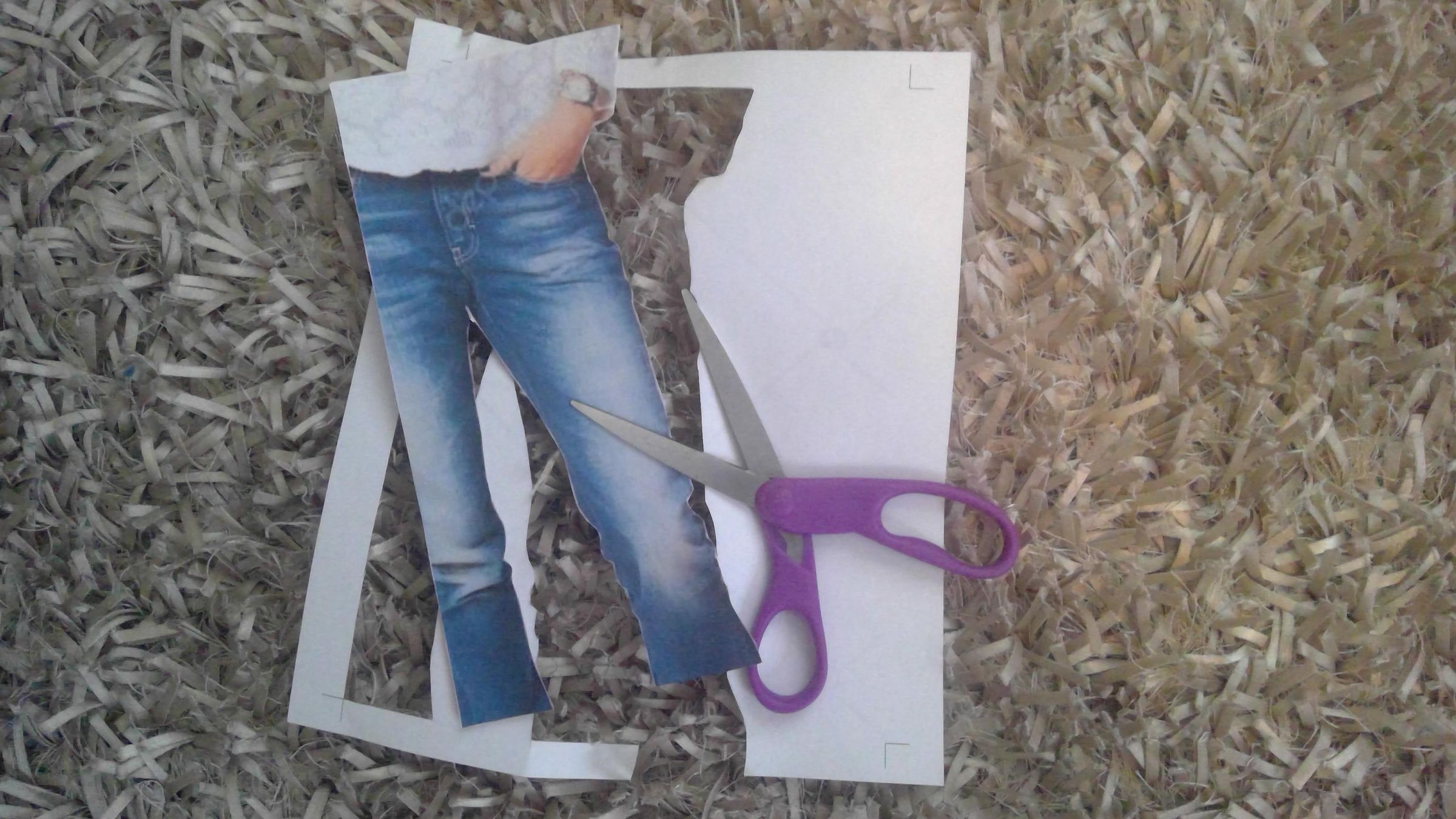 How to Make a Cardboard Cutout 11 Steps Instructables
