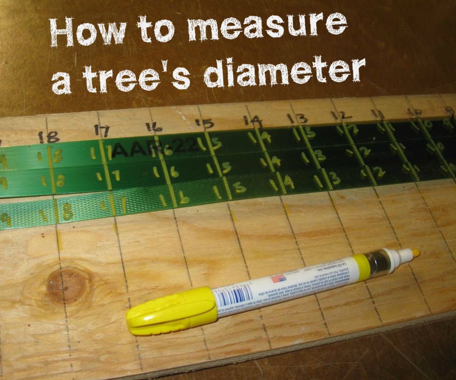 Making Special Tapes to Measure Tree Diameters! (with Pictures