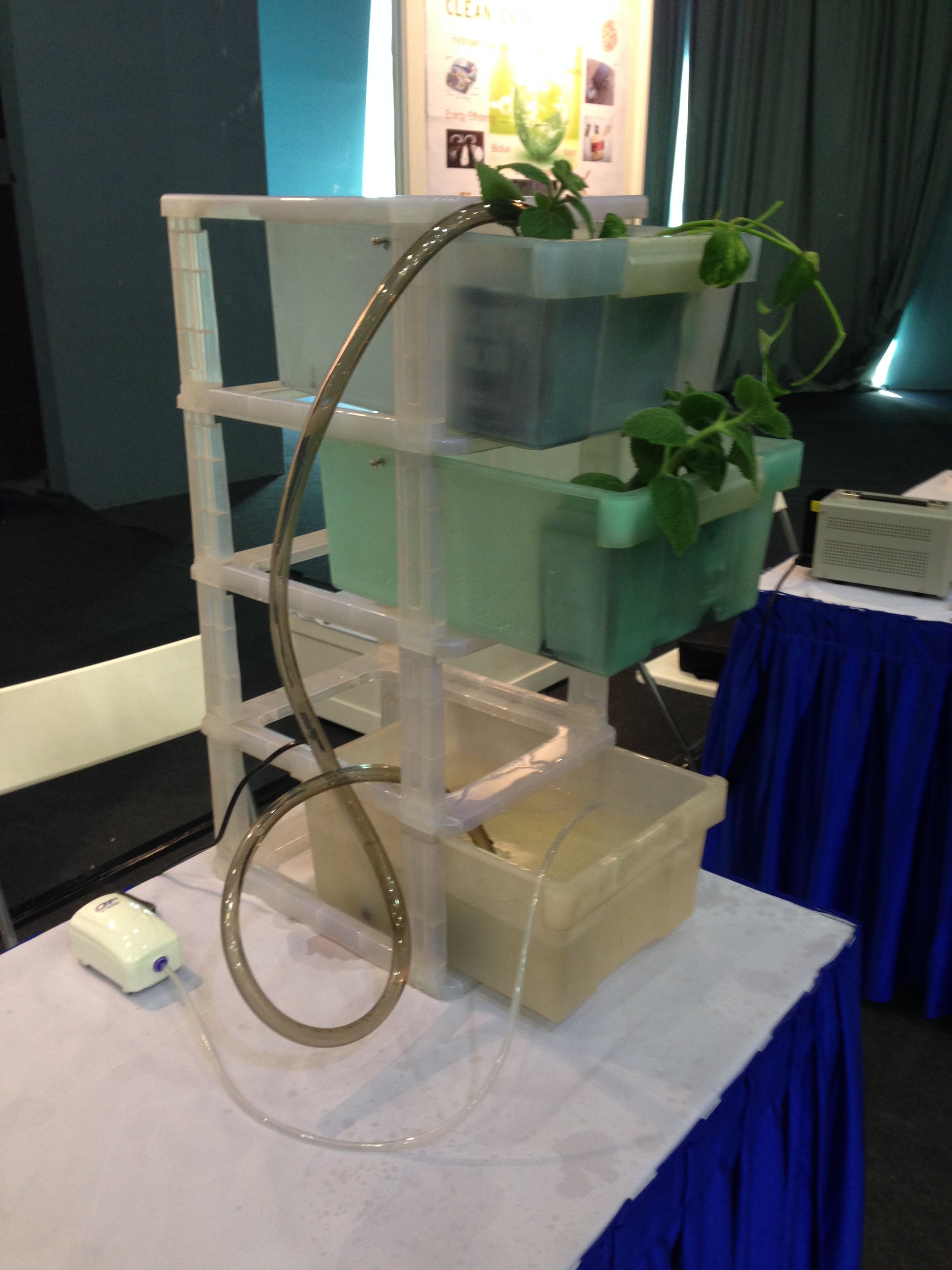 aquaponics in a drawer - instructables
