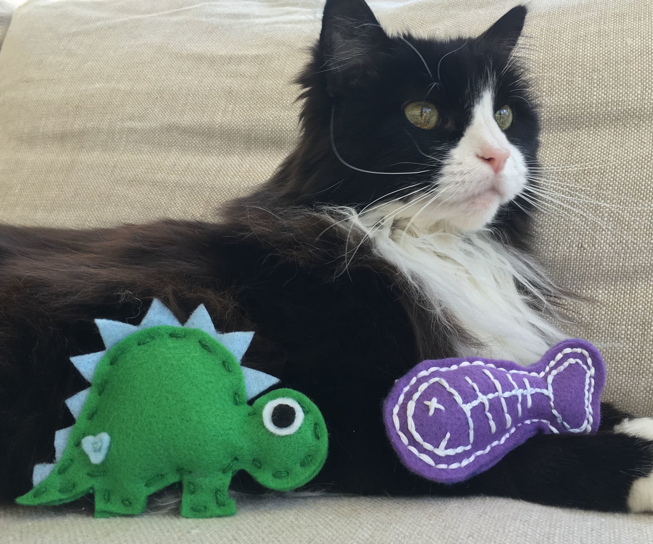 2 Felt Cat Toys (Fish and Dinosaur) 9 Steps (with Pictures
