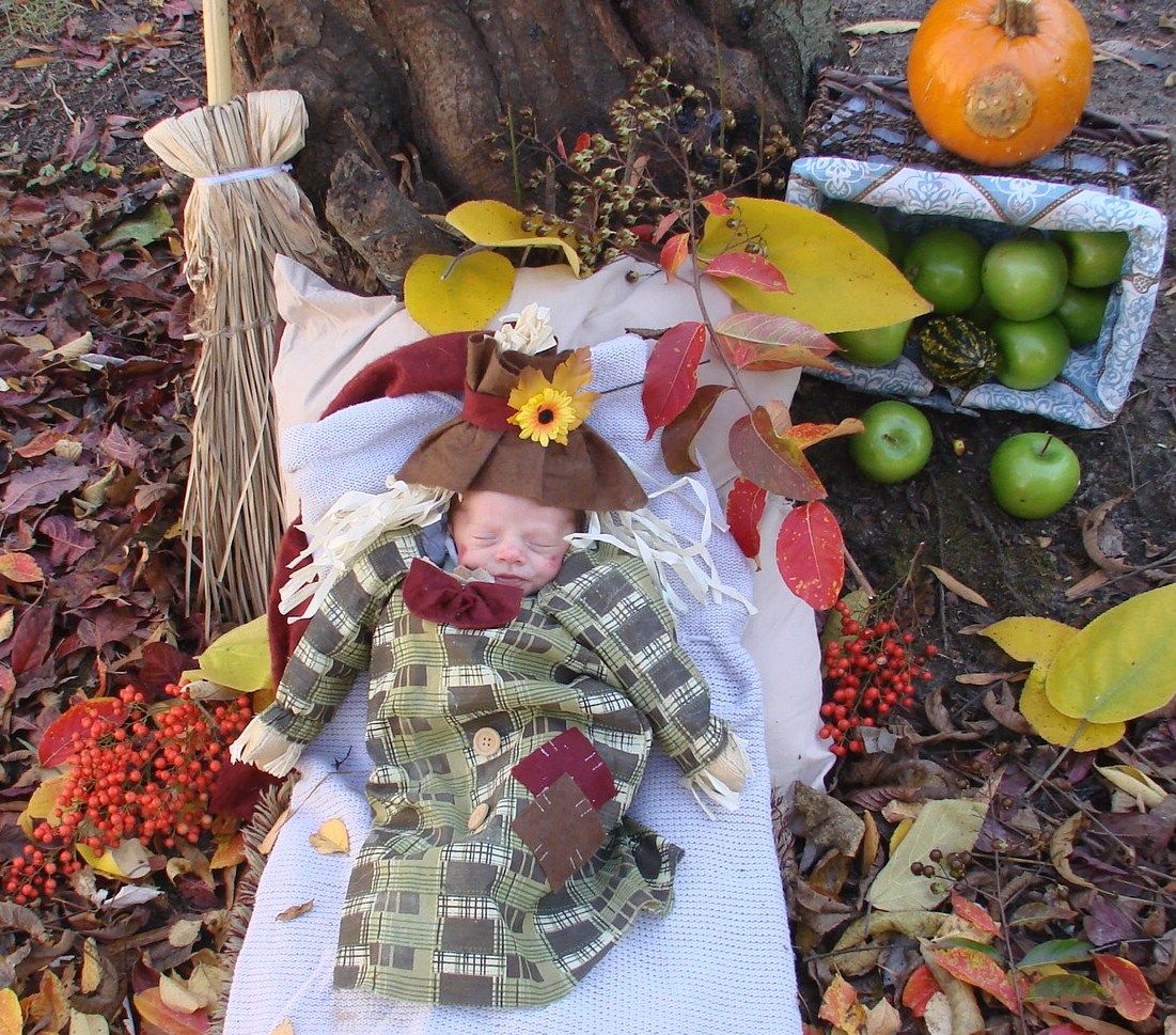 autumn's laze daze DIY Project DIY Project Image