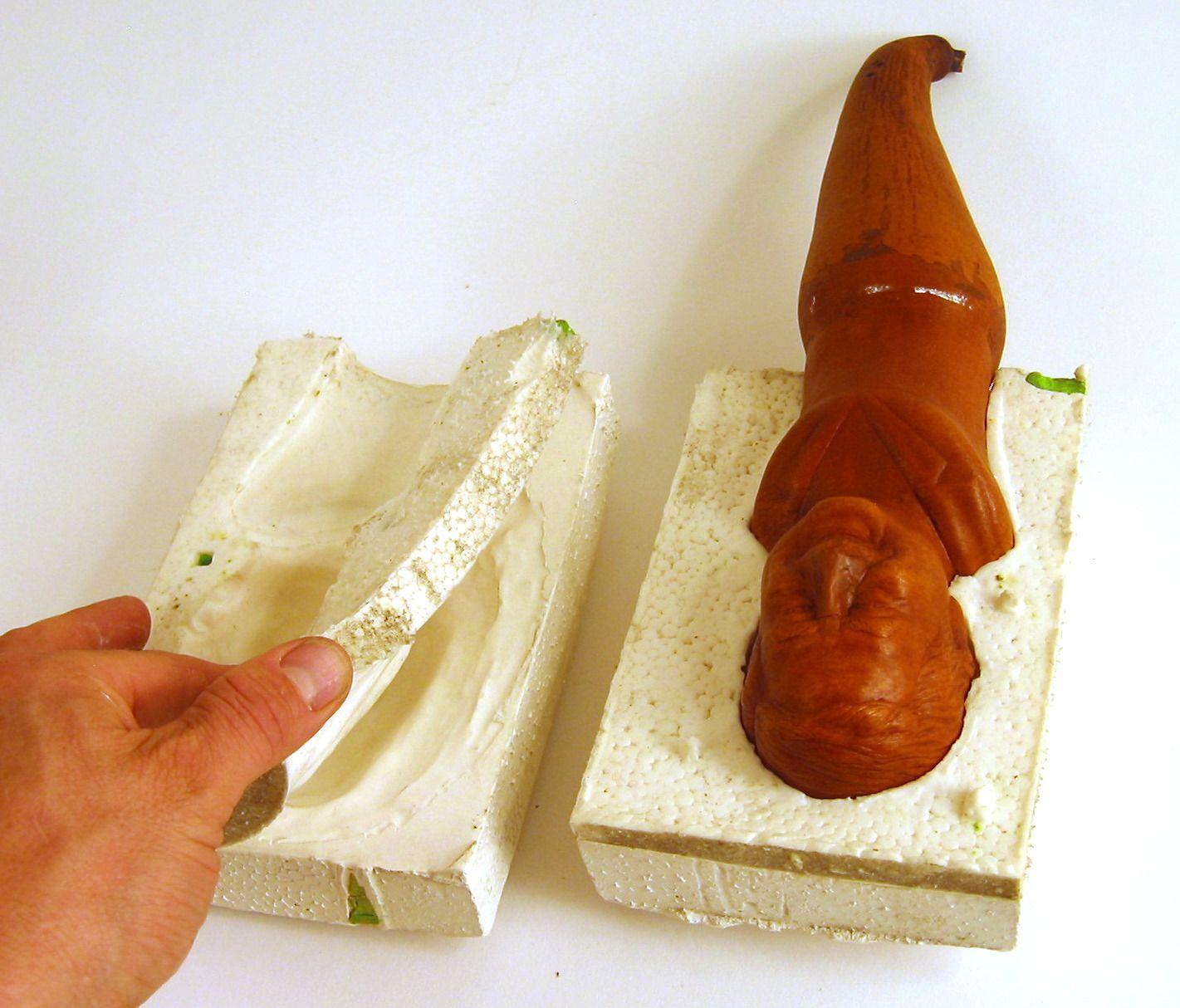 Portrait Gourds Grown in Molds 8 Steps (with Pictures) Instructables