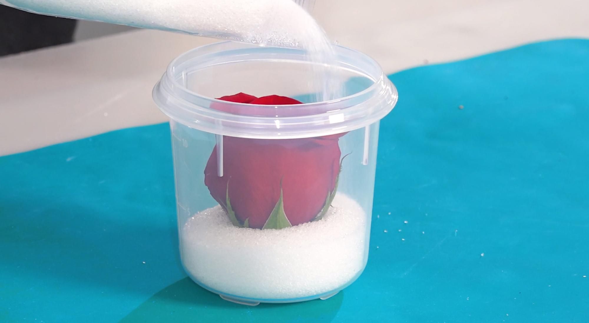 How to Cast Flowers in Epoxy Resin DIY Resin Rose Paperweight! 8