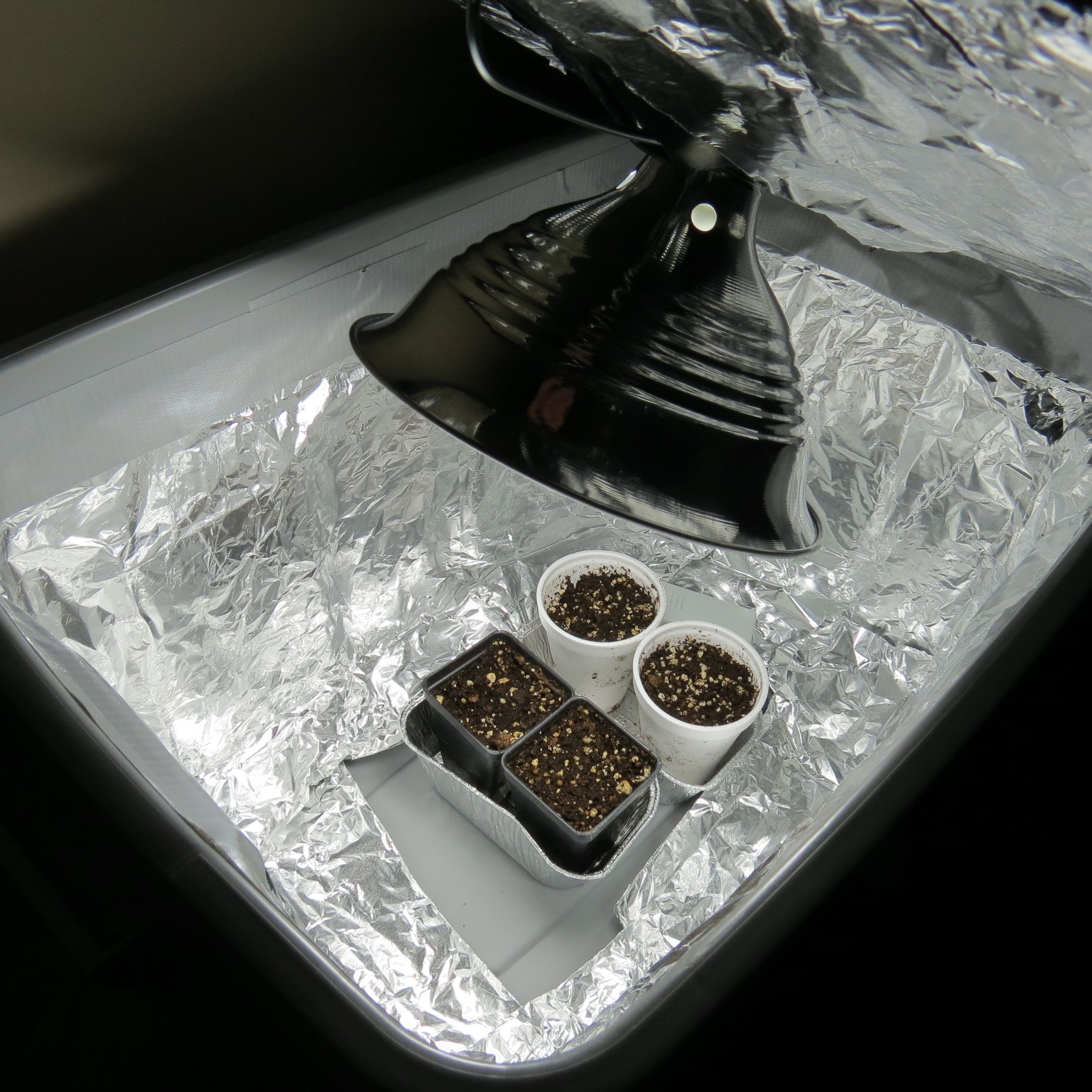 How to Make a Cheap Vegetable GrowLight Box No Tools Just a Knife