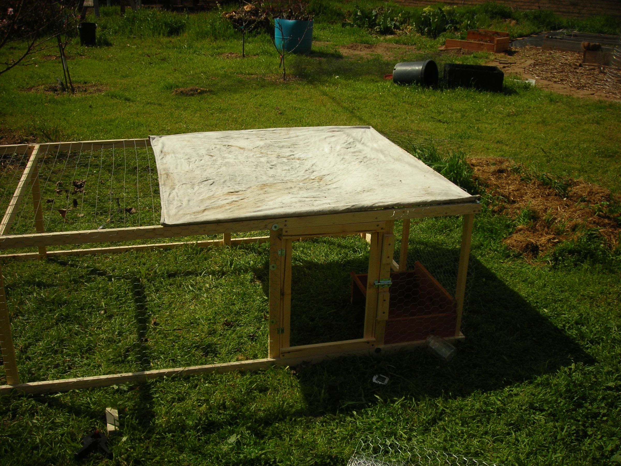 simple chicken tractor