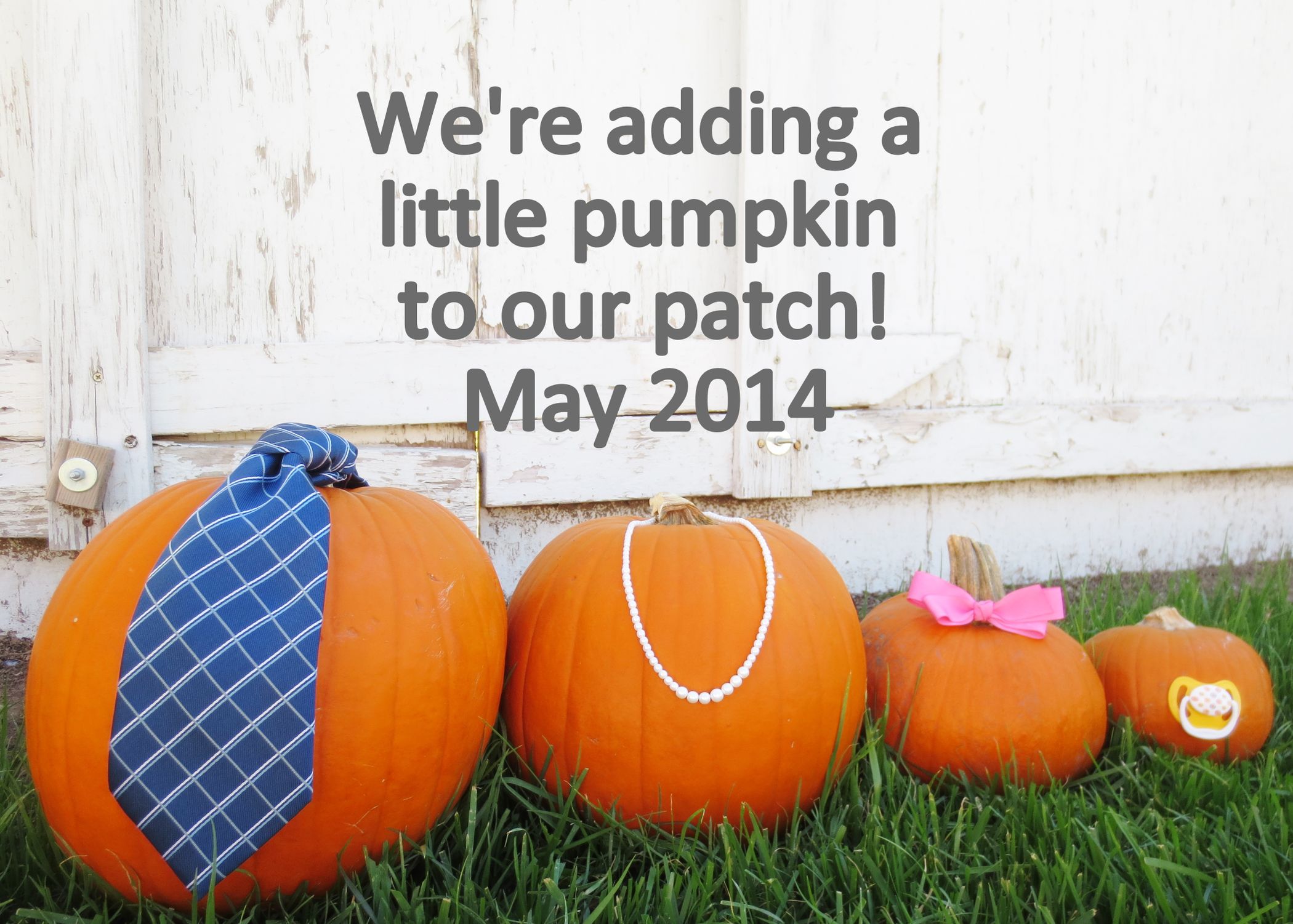 Fall Pumpkin Pregnancy Announcement Instructables