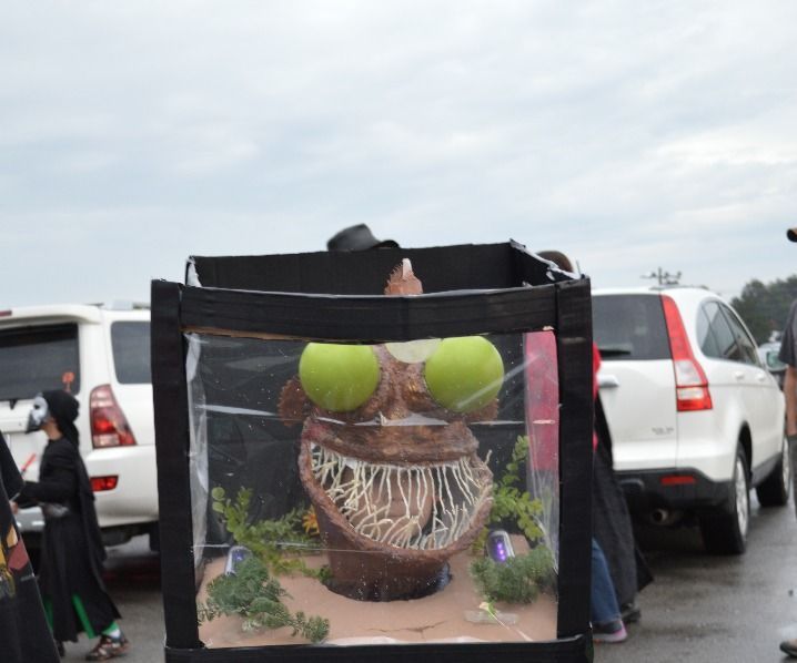 angler fish in a aquarium DIY Project DIY Project Image