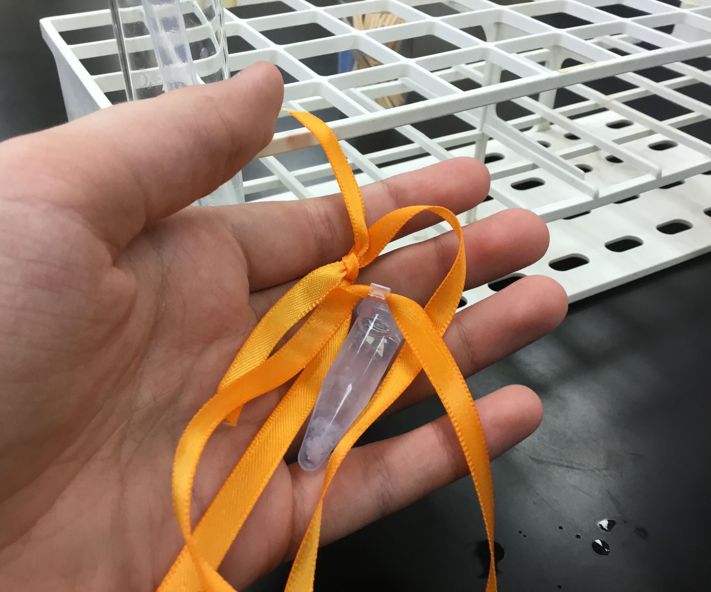 DIY guide for An Unusual Use of Alcohol to Extract DNA From Cells with step-by-step instructions