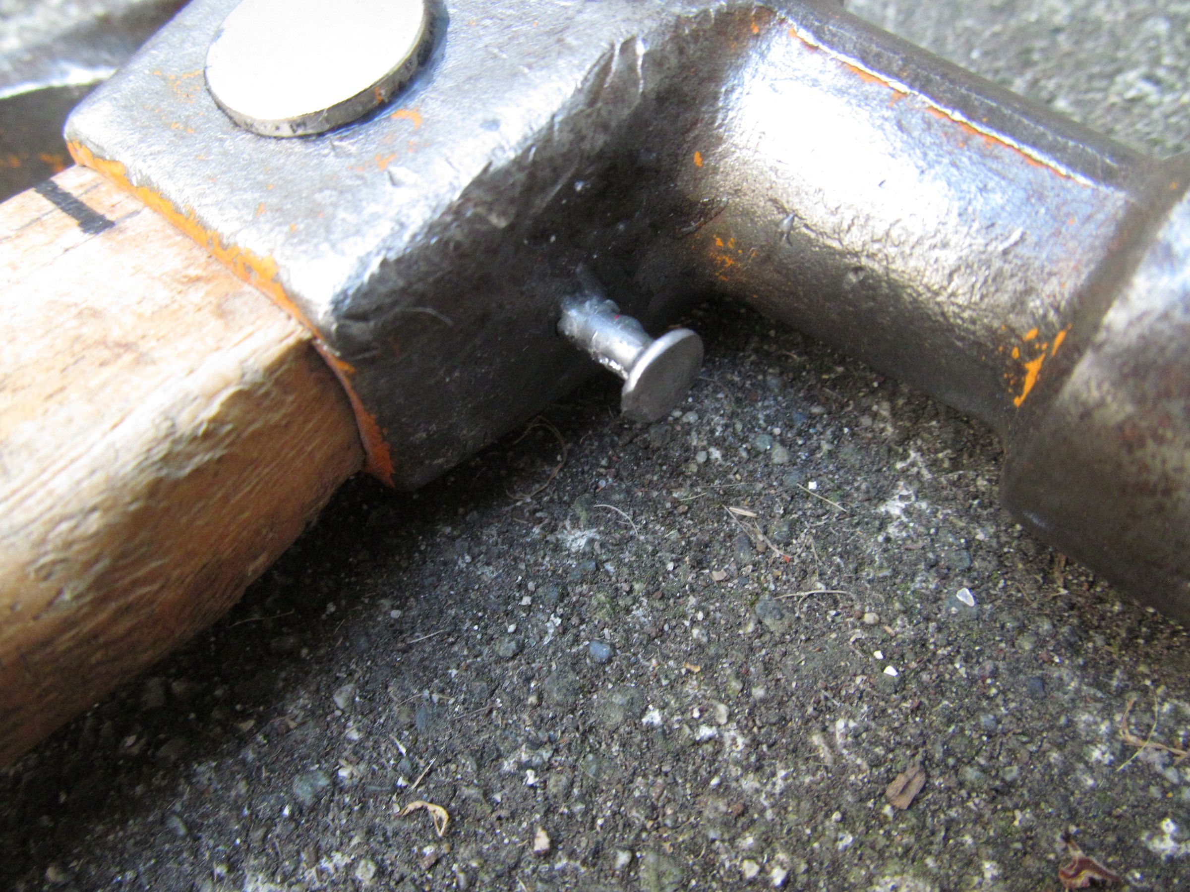 The Ultimate Hammer (Hammer + Screwdriver, Bottle Opener, Nail Holder