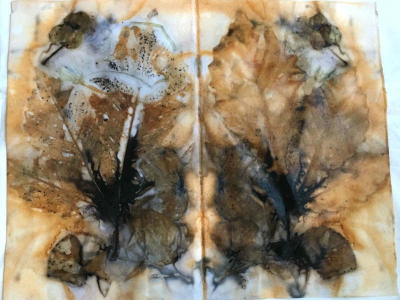 顯示您的EcoPrint