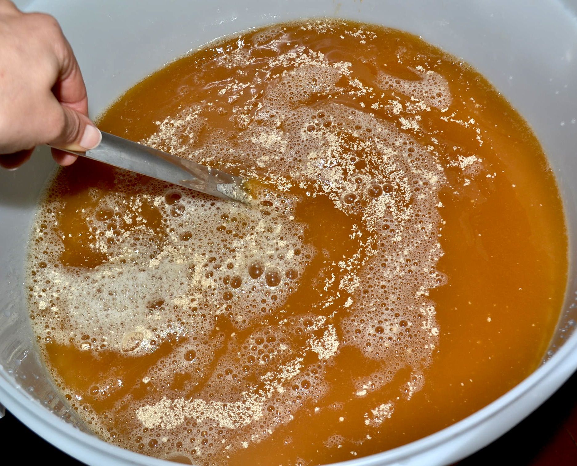 ★HOMEBREW HONEY BEER★ 13 Steps (with Pictures) Instructables