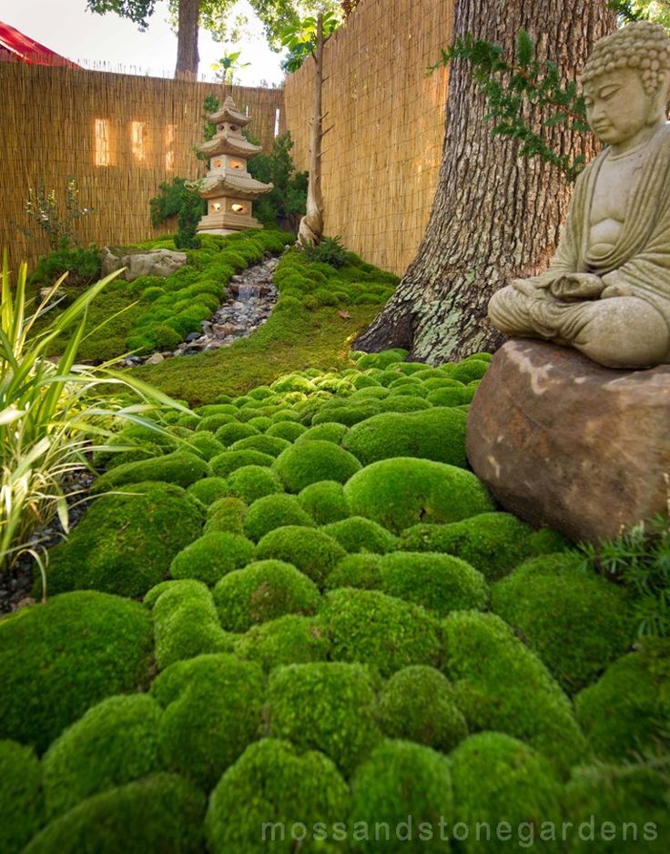 How To Create A Moss Garden 5 Steps Instructables