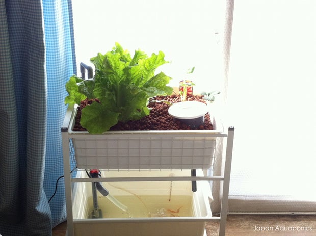 Indoor Mini Aquaponics System Ikea Hack 5 Steps With Pictures Instructables Indoor Mini Aquaponics System Ikea Hack 5 Steps With Pictures Instructables